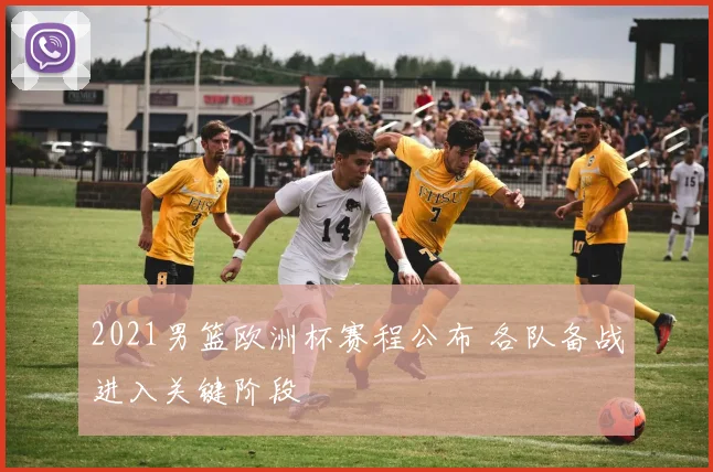 2021男篮欧洲杯赛程公布 各队备战进入关键阶段