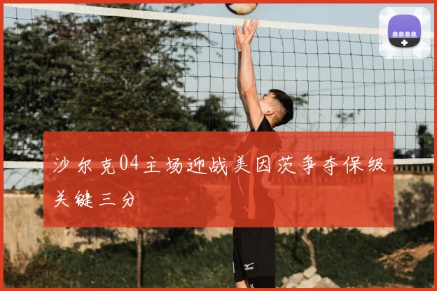 沙尔克04主场迎战美因茨争夺保级关键三分